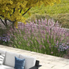 4 Pack Garden Fencing for Yard, Decorative Fence Panels as Animal Barrier and Flower Edging, Grids