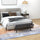 39 Inches Upholstered Bedroom Bench, Modern End of Bed Bench with Steel Legs, Gray