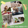 Cat Tree for Indoor Cats with Hammock, Cat Tower, Green