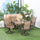 5-Piece Patio Dining Set, 4 Swivel Rocker Chairs and 37" x 37" Dining Table Furniture Set with Umbrella Hole, Brown