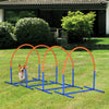 4 Piece Dog Agility Course for Old Dogs with Carriage Bag, Outdoor Use, Blue