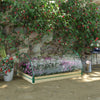 4' x 3' x 2' Raised Garden Bed with Greenhouse, Wooden Planter Box with PVC Plant Cover, Roll Up Windows, Use for Vegetables, Flowers