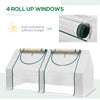 6' x 3' x 3' Portable Greenhouse, Garden Hot House with Two PE/PVC Covers and 2 Roll Up Windows, Clear