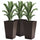 24"H Set of 3 Tall Garden Raised Planters, Outdoor & Indoor Flower Pot Set for Front Door, Entryway, Patio and Deck, Brown