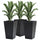 Set of 3 Tall Planters, Outdoor & Indoor Flower Pot Set for Front Door, Entryway, Patio and Deck, Black