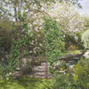 7' Garden Arbor, Garden Arch Metal with Gate, Latching Doors, Shelves for Climbing Vines, for Wedding, Bridal Party, Brown