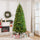 7.5ft Tall Pre-lit Pine Artificial Christmas Tree with Realistic Branches, 450 Warm White LED Lights and 1146 Tips