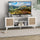 TV Stand Cabinet for 65-Inch, TV Table with 2 Rattan Doors, Television Stand with Adjustable Shelves and Cable Holes