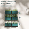 3-Tier Wall Planter Hanging with 6 Pots, Wall Mounted Planter Holder with Water Drainages for Flowers, Vegetable, Green