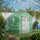 7' x 5' x 6'  2-Tier Shelf Greenhouse with Door, Windows, PE Cover, Steel Frame for Outdoor Garden Plant & Plant Use, Green