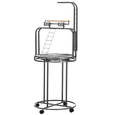 Parrot Stand Large Bird Perch Stand with Toy Hook & 3 Ladders, Parrot Perch, Bird Wooden Stand, Gray