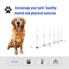 Sturdy Dog Weaves Poles Pet Speed and Agility Equipment Dogs Obstacle Outdoor w/ Storage Bag