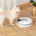 Battery-Powered Automatic Feeder for Pets with Digital LED Display Timer, 6 Meal Trays for Wet or Dry Cat Food, Small Dog & Cat Meal Dispenser