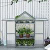 32" x 19" x 54" Garden Wooden Cold Frame Greenhouse Flower Planter Protection w/ Adjustable Shelves, Double Doors - Grey