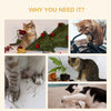 Cat Running Wheel Cat Tree with Carpet Runway Cat Exercise Wheel with Brake Cat Tower Pet Furniture for Kittens Natural