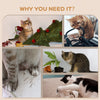 Cat Wall Shelves, with Hammock, Scratching Post, Steps, Platforms, Gray
