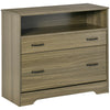 Lateral File Cabinet with Shelf, Office Storage Cabinet with 2 Drawers, Fits Letter Sized Papers, Charcoal Grey