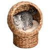 Weaved Elevated Cat Bed, Hand Made Braided Banana Leaf Pet House Nest with Cushion for Kitten, 23.5" H, Brown
