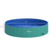 Dog Bathing Tub 12" x 56" Collapsible PVC Pet Foldable Swimming Pool Green / Blue