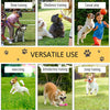 4-piece Portable Pet Agility Training Equipment for Dogs with Weave Pole, Jumping Ring, High Jump, & Tunnel