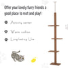 Floor To Ceiling Cat Tree 4-Level Platform Cat Tree With Covered Scratching Posts Activity Center For Kittens Tower Furniture Brown