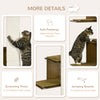 Wall-Mounted Cat Tree, 4-Layer Cat Wall Furniture with Scratching Board, Kitten Activity Center with Cushions, Natural