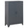 Industrial Style Steel Storage Cabinet, Metal Storage Organizer with 2-Tier Adjustable Shelves for Living Room or Home Office, Grey