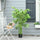 4.5ft Artificial Bamboo Tree, Faux Decorative Plant in Nursery Pot for Indoor or Outdoor DÃ©cor