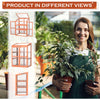 Wooden Cold Frame Greenhouse Small Mini Planter Box for Outdoor and Indoor, 30"L x 24" W x 43"H