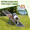 Wooden Dog Agility Seesaw for Training and Exercise, Gray