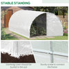 20' x 10' x 7' Walk-in Tunnel Greenhouse, Transparent PE Cover, 2 Zipper Doors, Outdoor Hobby House for Tropical Plants, Flowers, Herbs & Vegetables, White