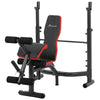 Heavy Duty Weight Multi-Function Workout Bench with Preacher Curl, Strength Exercise Starter Kit