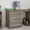 Wood 2-Drawer Lateral File Cabinet Organizer with Hanging Bar and Spacious Tabletop Display for for Letter/Legal Size, Grey
