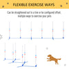 Adjustable Agility Training Equipment for Dogs with Weaves Poles and Storage Bag