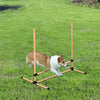 6 Piece Dog Agility Starter Kit Speed and Agility Equipment High Jump Hurdle Bar Set with Adjustable Height Carry Bag Whistle Orange
