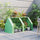 6' x 3' x 3' Portable Mini Greenhouse Outdoor Garden with Large Zipper Doors and Water/UV PE Cover, Green