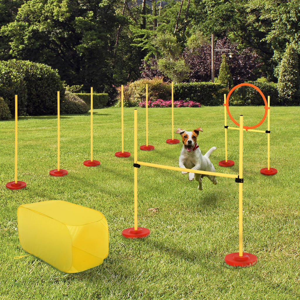 4-piece Portable Pet Agility Training Equipment for Dogs with Weave Pole, Jumping Ring, High Jump, & Tunnel