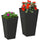 2-Pack Outdoor Planter Set, MgO Flower Pots with Drainage Holes, Durable & Stackable, for Entryway, Patio, Yard, Garden, Black