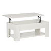39" Lift Top Coffee Table with Hidden Storage Compartment and Open Shelf, Pop Up Coffee Table for Living Room, White