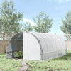20' x 10' x 7' Walk-in Tunnel Greenhouse, Transparent PE Cover, 2 Zipper Doors, Outdoor Hobby House for Tropical Plants, Flowers, Herbs & Vegetables, White