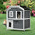 Wooden 2-Story Outdoor Cat House, Feral Cat Shelter Kitten Condo with Escape Door, Openable Asphalt Roof and 4 Platforms, Grey