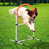 Dog Agility Training Jump Ring / Hurdle Bar Speed and Agility Equipment
