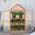 32" x 19" x 54" Greenhouse Flower Planter Protection w/ Adjustable Shelves, Double Doors, Garden Wooden Cold Frame Orange