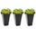 28" Tall Plastic Planters, 3-Pack, Large Taper Outdoor & Indoor Plastic Garden Flower Pots, for Entryway, Patio, Yard, Black